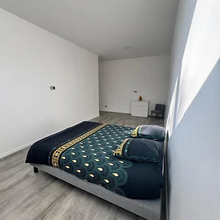 Apartment Loft Epure Avec Parking Prive. Saint-Symphorien-d'Ozon